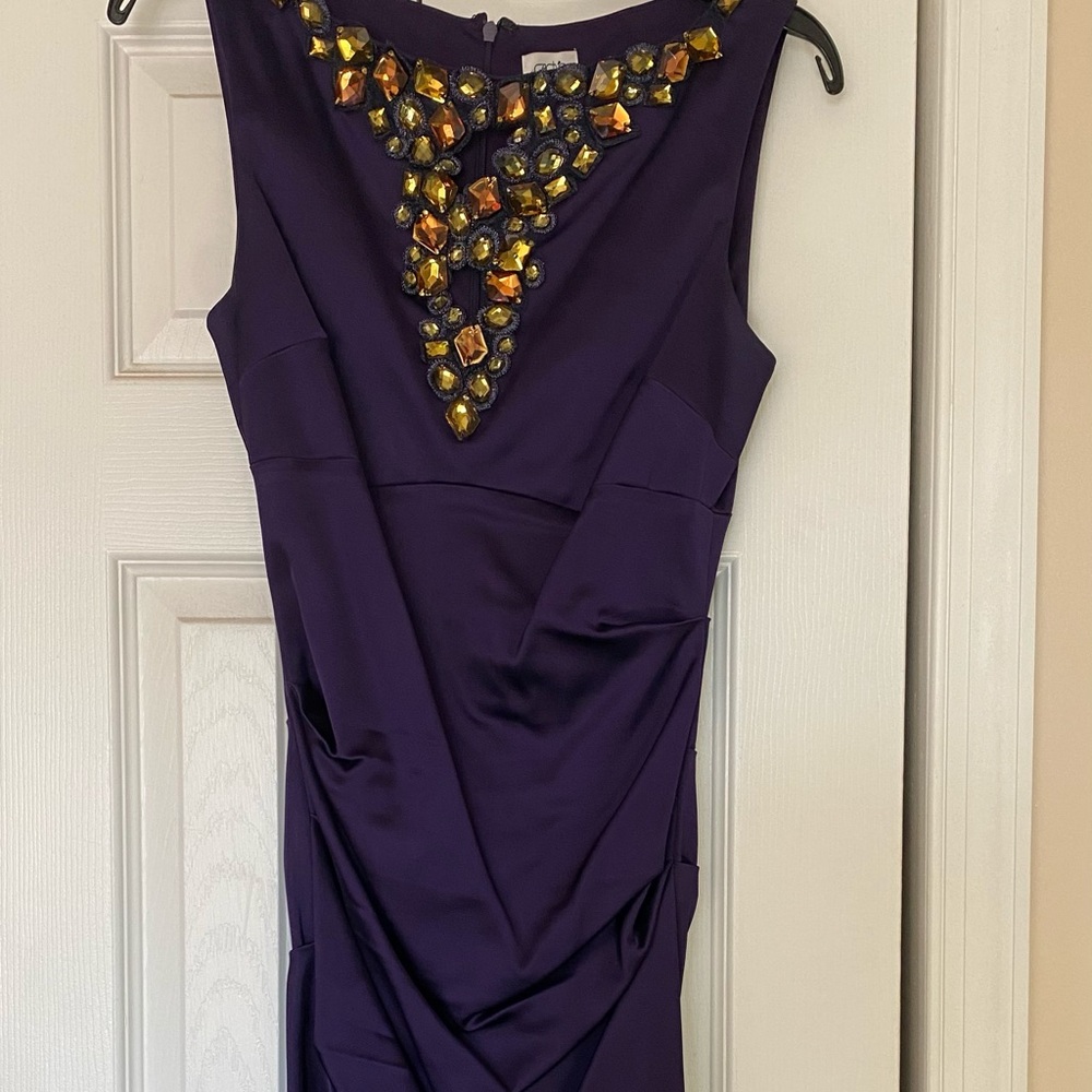 Cache rouched dress